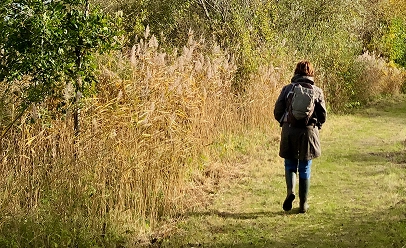 Beacon Country Park